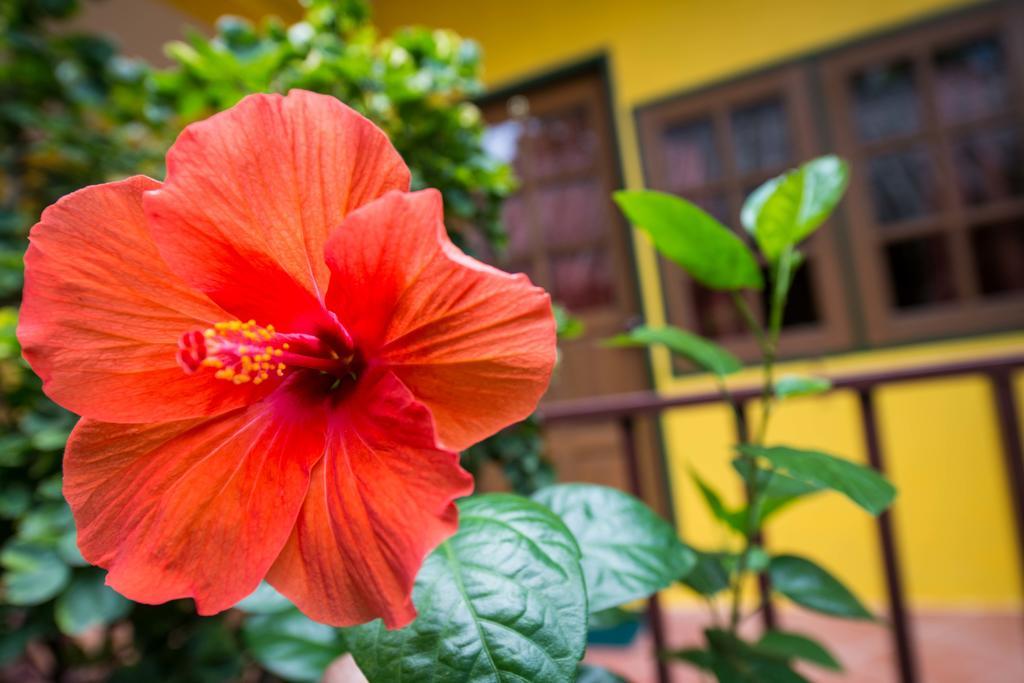 Janrassamee Home Stay Ко Чанг Экстерьер фото